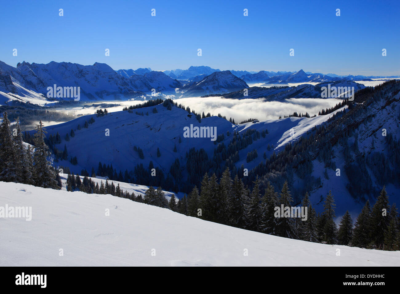 Alps Appenzell view Kronberg mountain mountain panorama mountains mist haze sky Kronberg massif Mattstock fog sea of fog pa Stock Photo