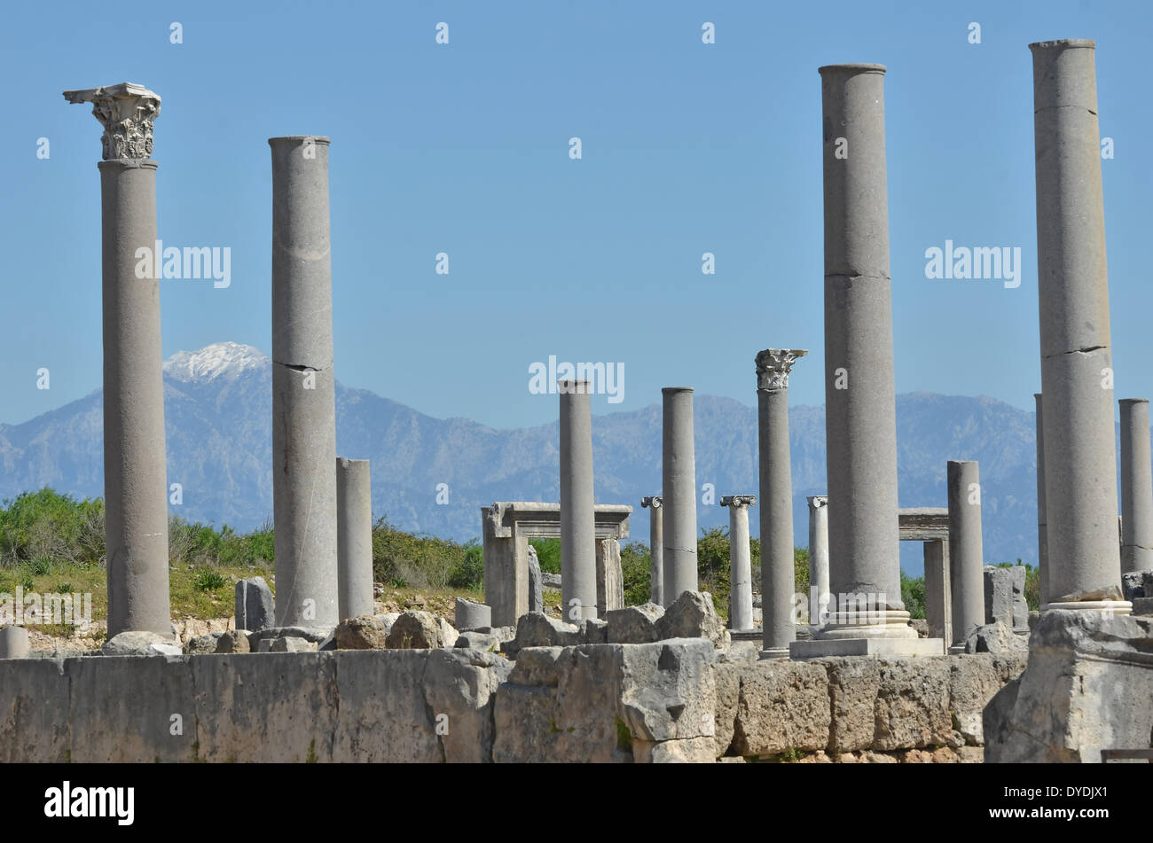 Greece Europe Greek architecture ancient Greece Europe column stone marble classic Corinthian column turkey perge Mediterrane Stock Photo
