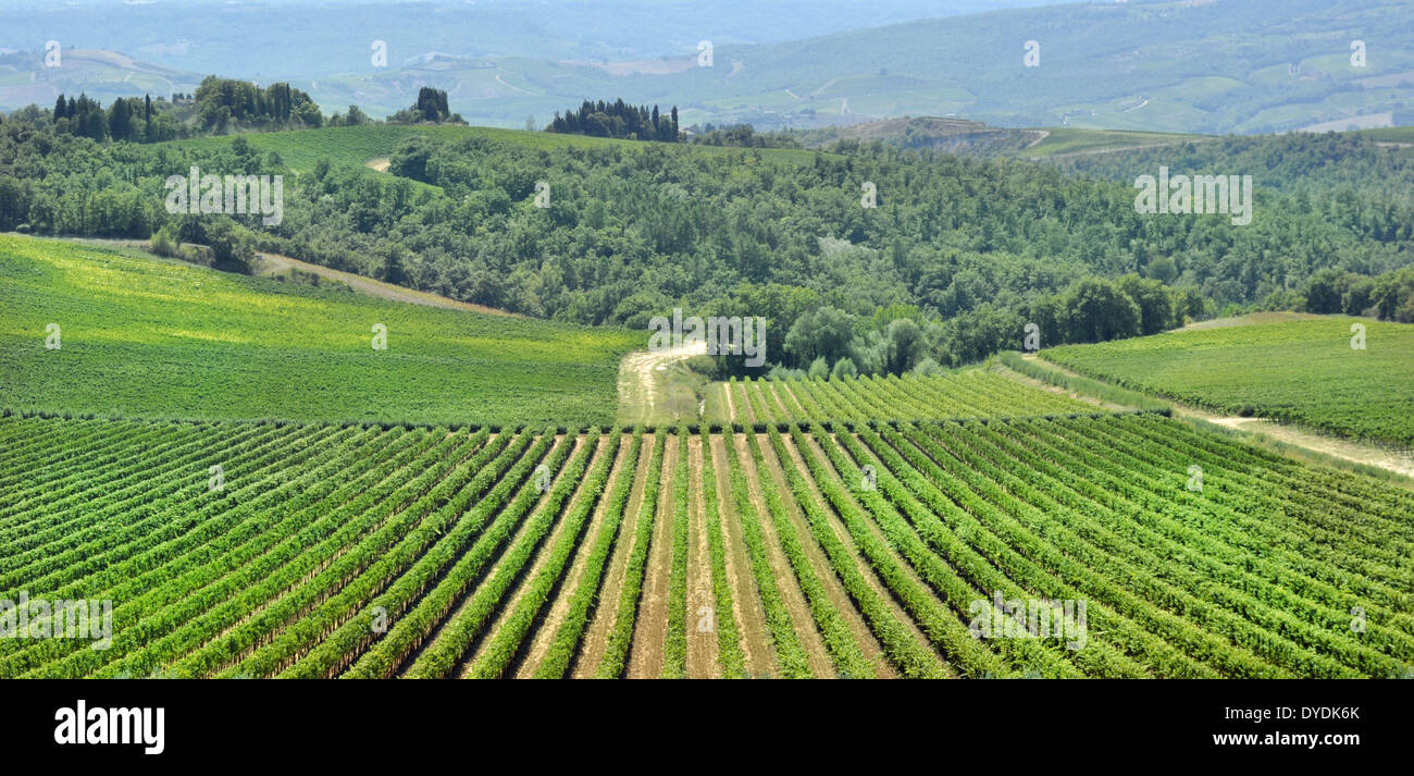 View cultivated fields tuscan hi-res stock photography and images - Alamy
