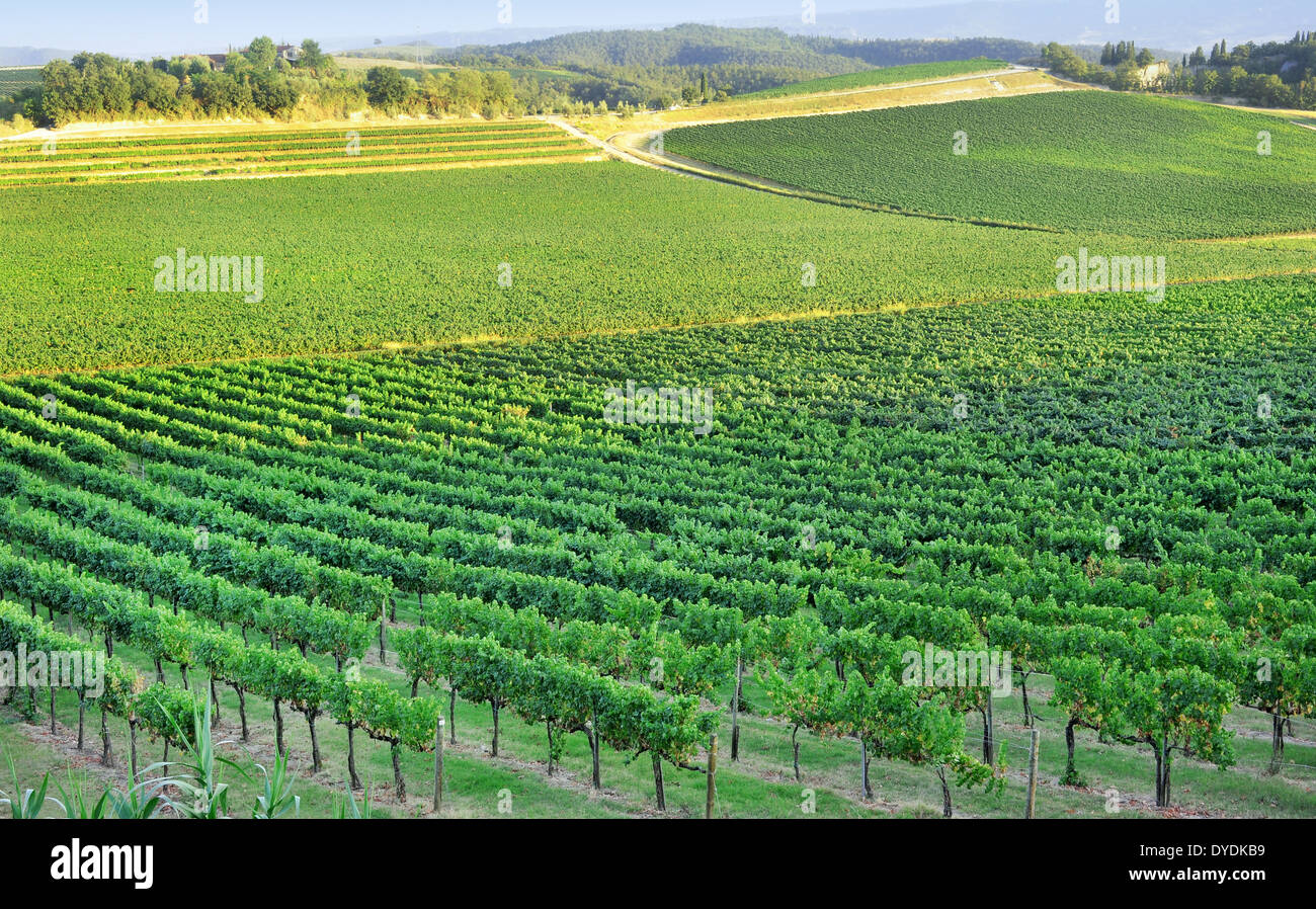 View cultivated fields tuscan hi-res stock photography and images - Alamy