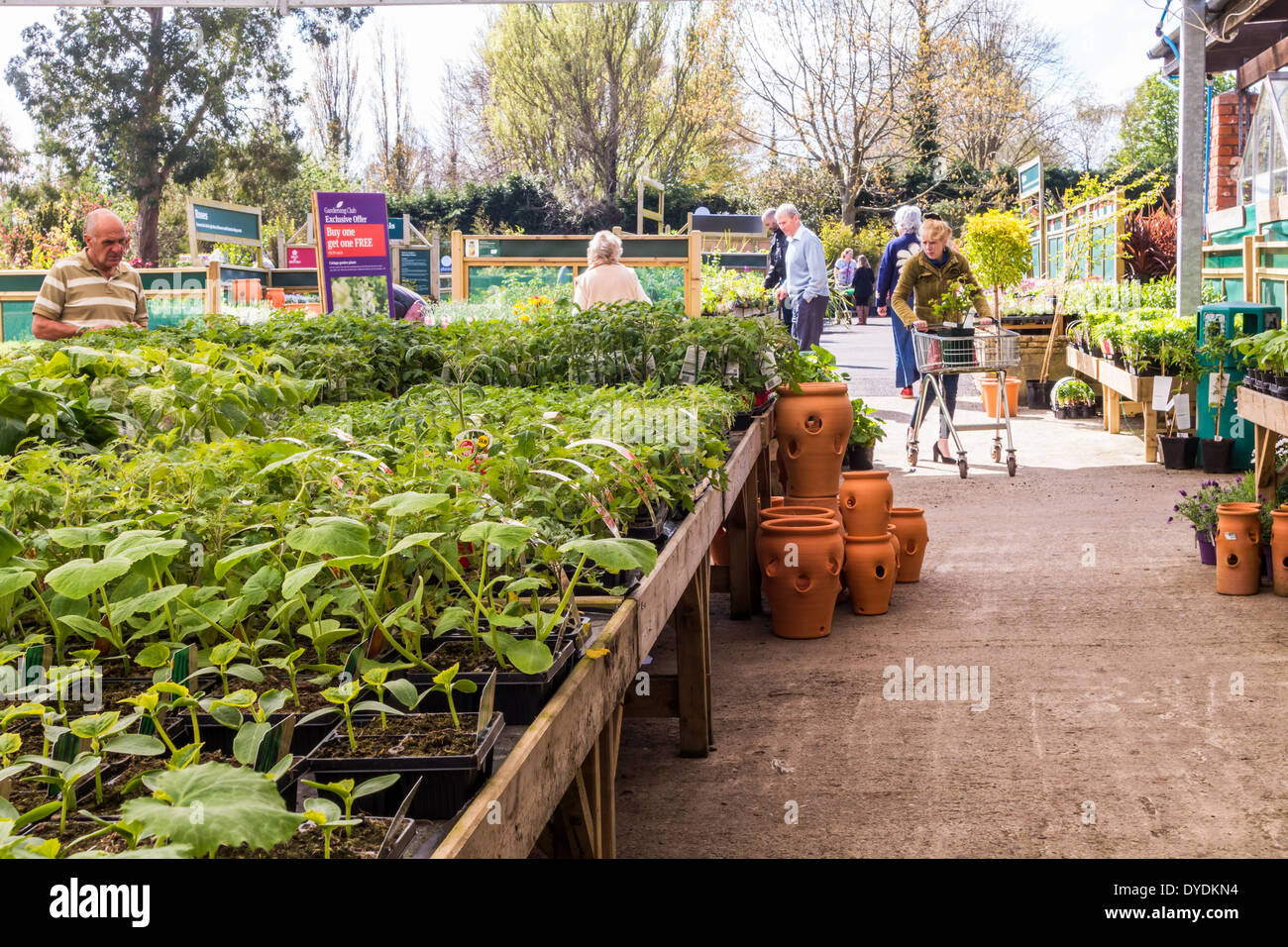 Garden centre hires stock photography and images Alamy