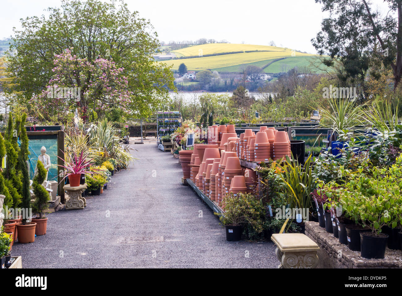 Garden centre flower pots hires stock photography and images Alamy