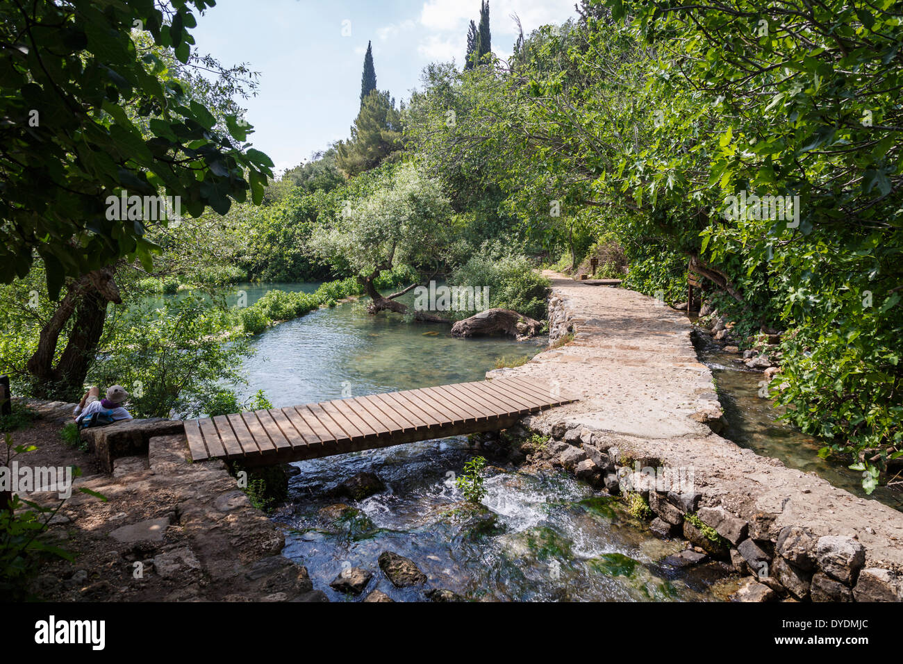 Banias nature reserve, Golan Heights, Israel. Stock Photo