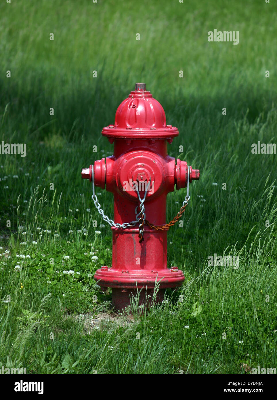 A red fire hydrant against a green lawn Stock Photo