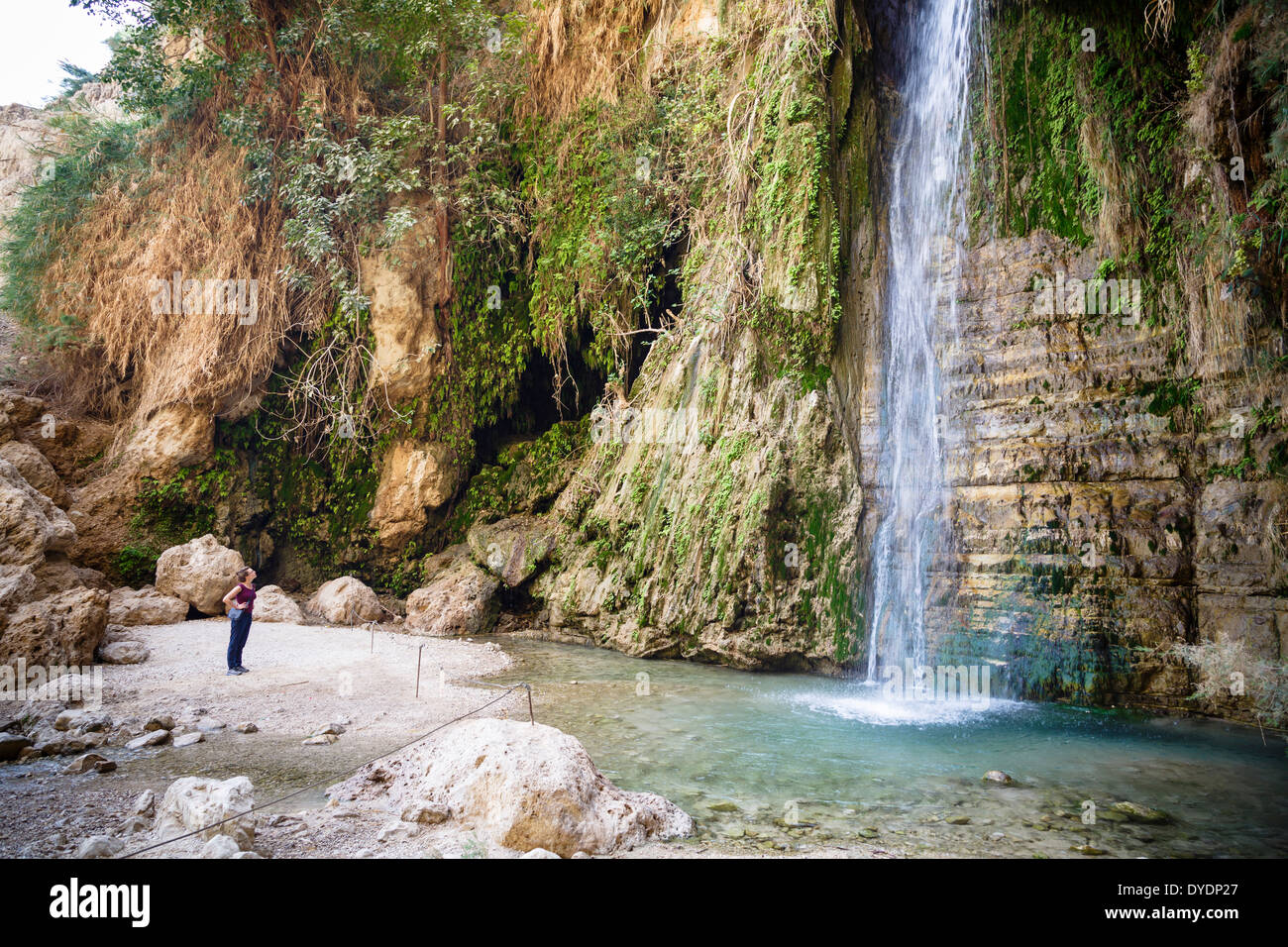 Waterfall at Wadi David, Ein Gedi nature reserve, Judean Desert, Israel. Stock Photo