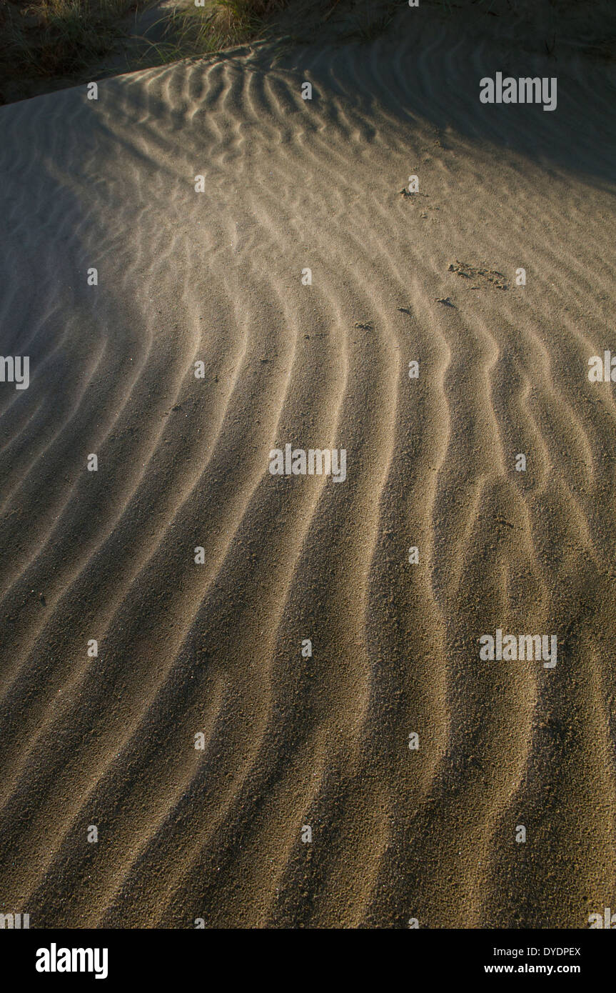 Wavy lines in the sand along 90 Mile Beach, New Zealand. Stock Photo