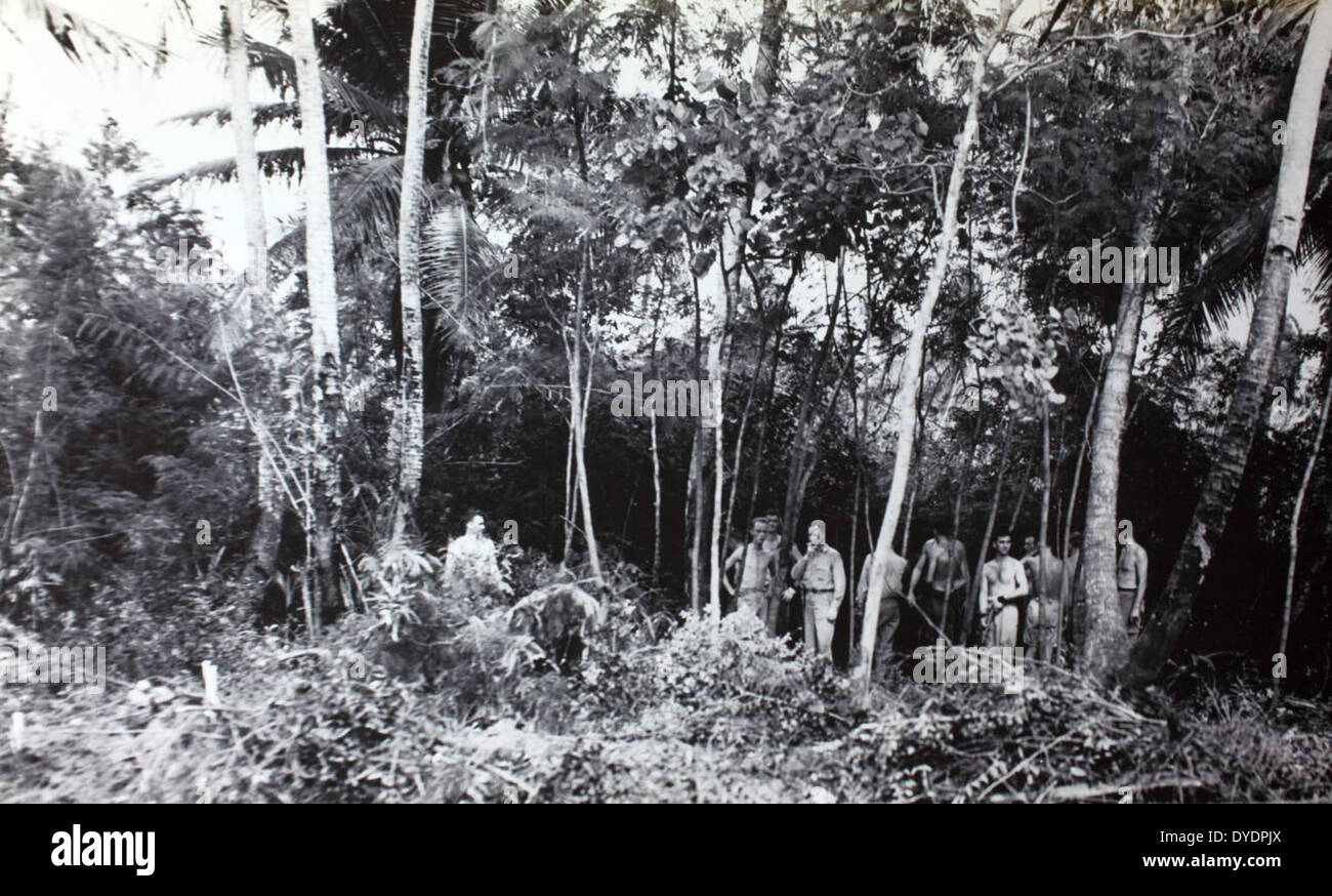 AL-24 Archie Fraser Photo Album Image Stock Photo - Alamy