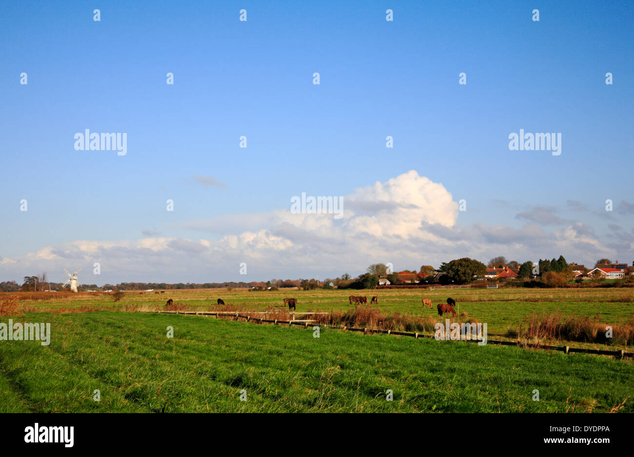 Broadland village norfolk hires stock photography and images Alamy
