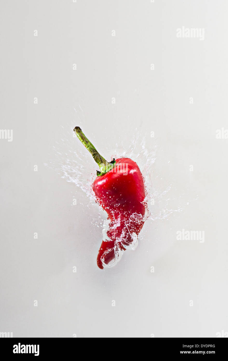 Red Chili Pepper Splashing In Water, White Background Stock Photo