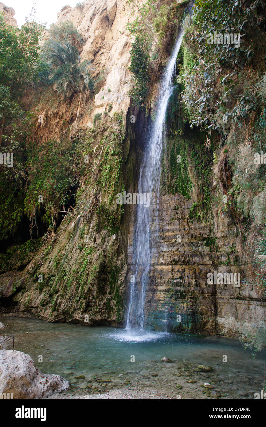 Waterfall at Wadi David, Ein Gedi nature reserve, Judean Desert, Israel. Stock Photo