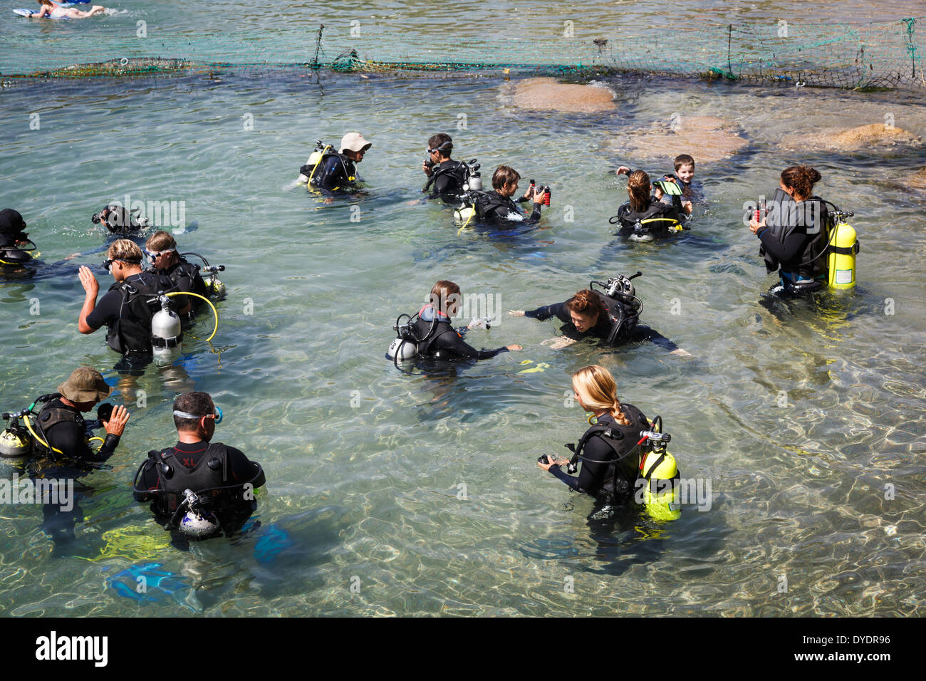 Divers at the red sea, Eilat, Israel. Stock Photo