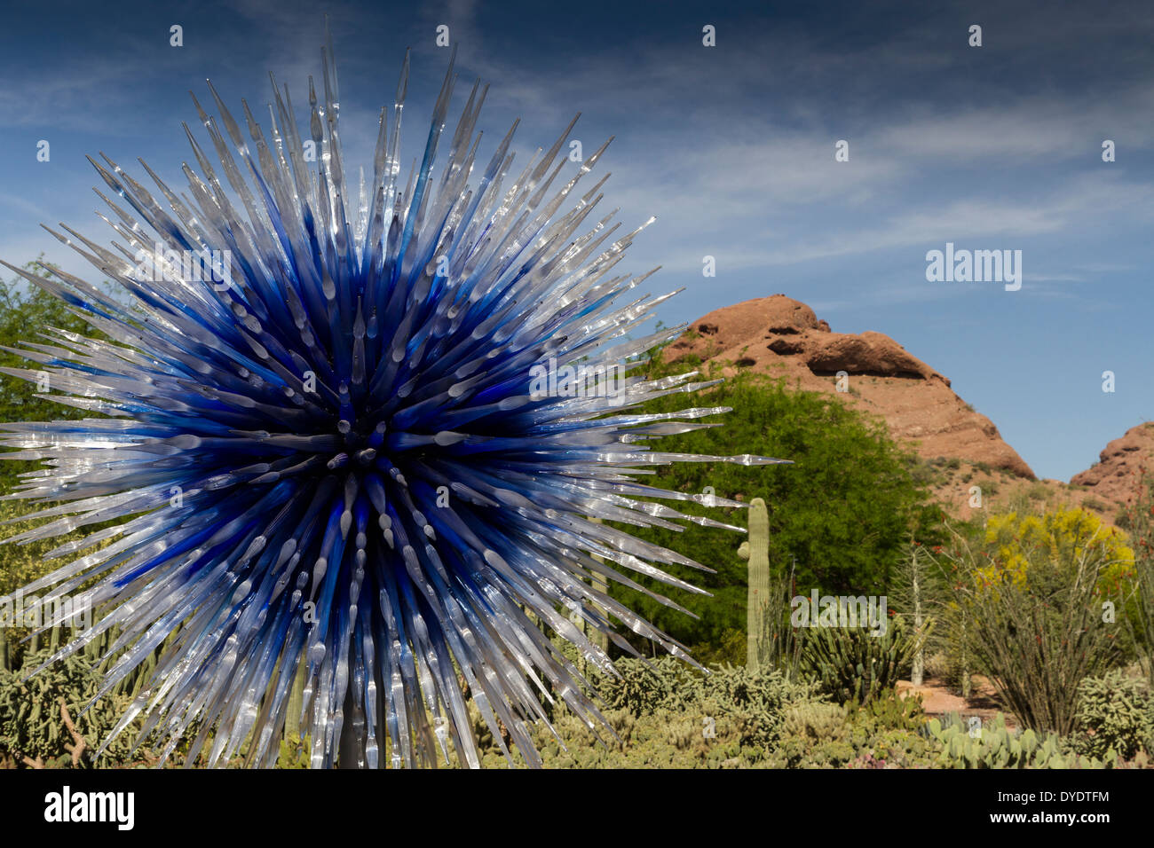 Glass sculpture, Desert Botanical Gardens, Phoenix, Arizona, USA Stock