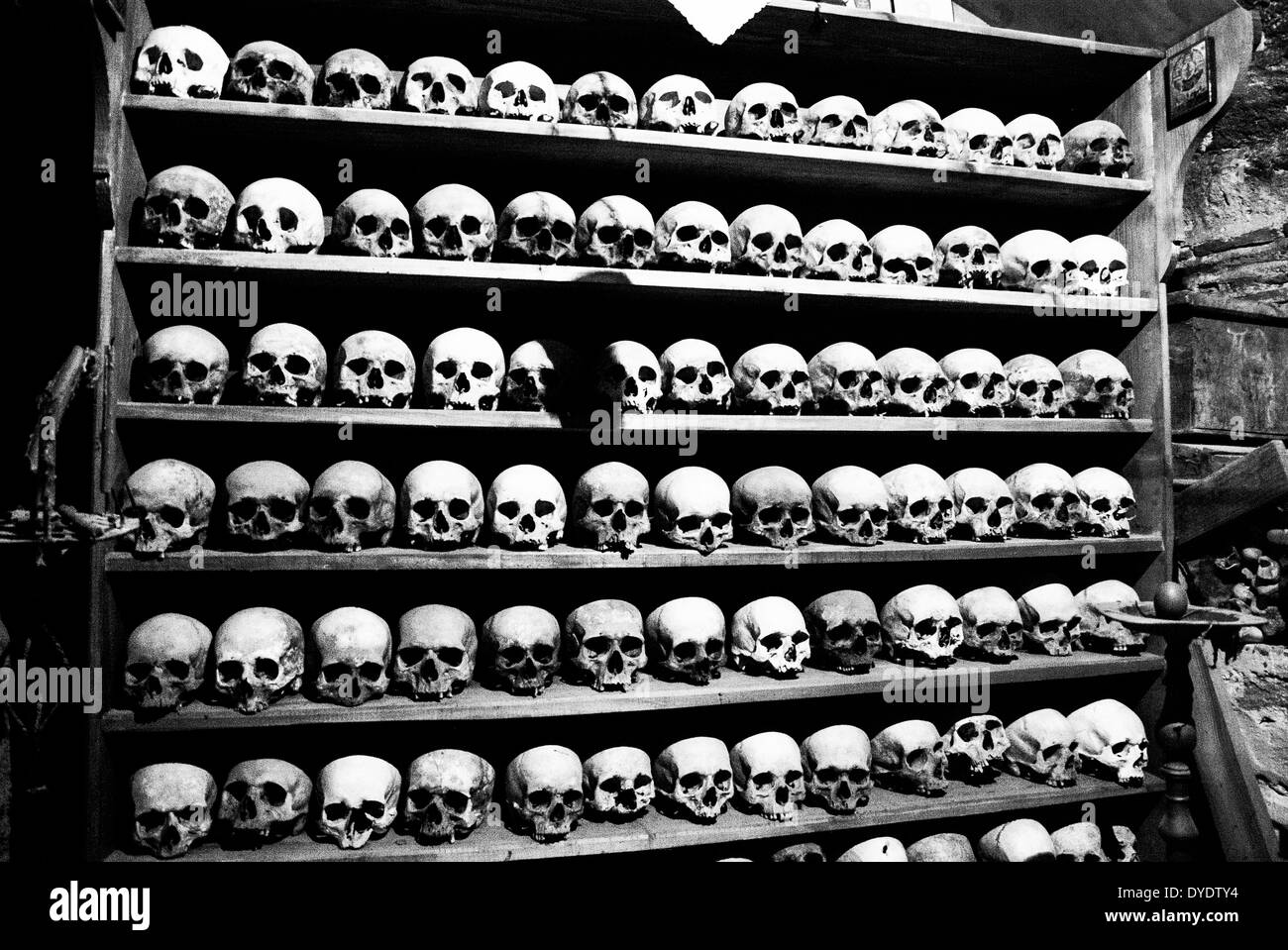 skulls Stock Photo