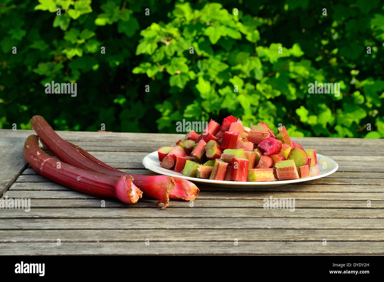Fresh raw rhubarb sticks and Cut (Rheum rhaponticum). Stock Photo