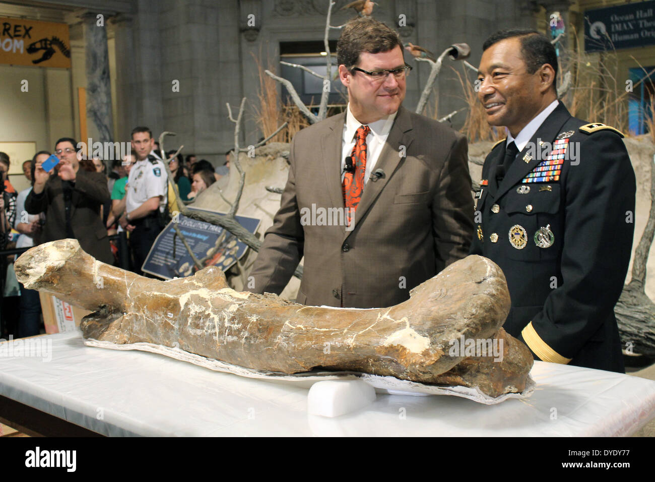 Kirk Johnson (L), director of the natural history museum in Washington, and Lieutnant General Thomas Bostick, Commander of the engineers of the US army, present a thigh bone of the newly arrived Tyrannosaurus rex in the natural history museum in Washington, USA, 15 April 2014. The bones will be the new highlight of the dinosaurs exhibitions. Photo: Louisa Klink/dpa Stock Photo