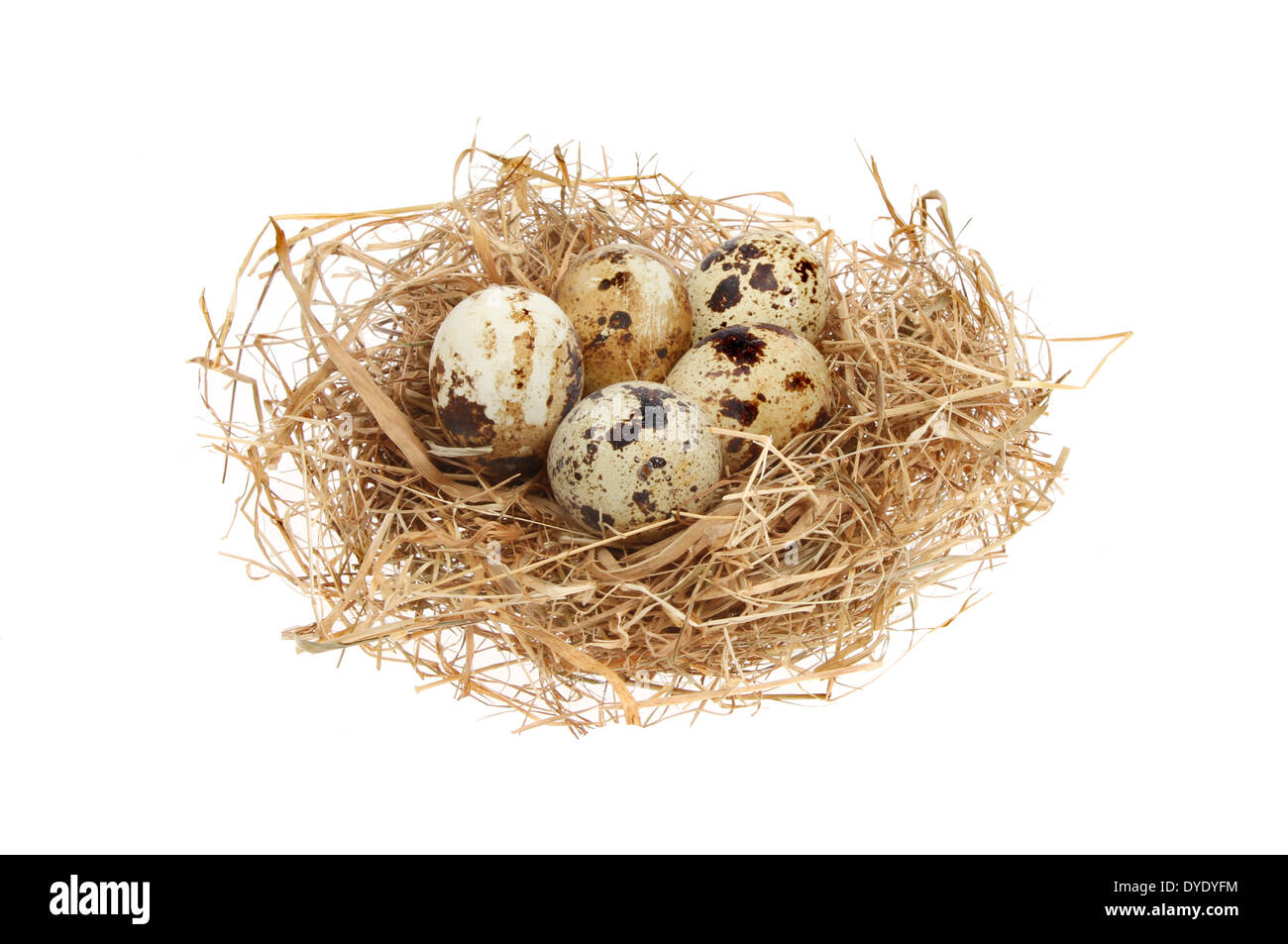 Quails eggs in a straw nest isolated against white Stock Photo Alamy