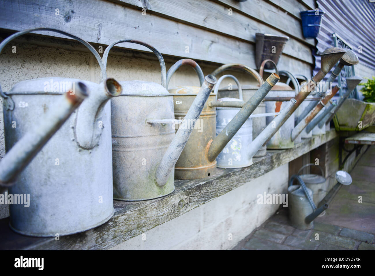 Watering cans in a row hires stock photography and images Alamy