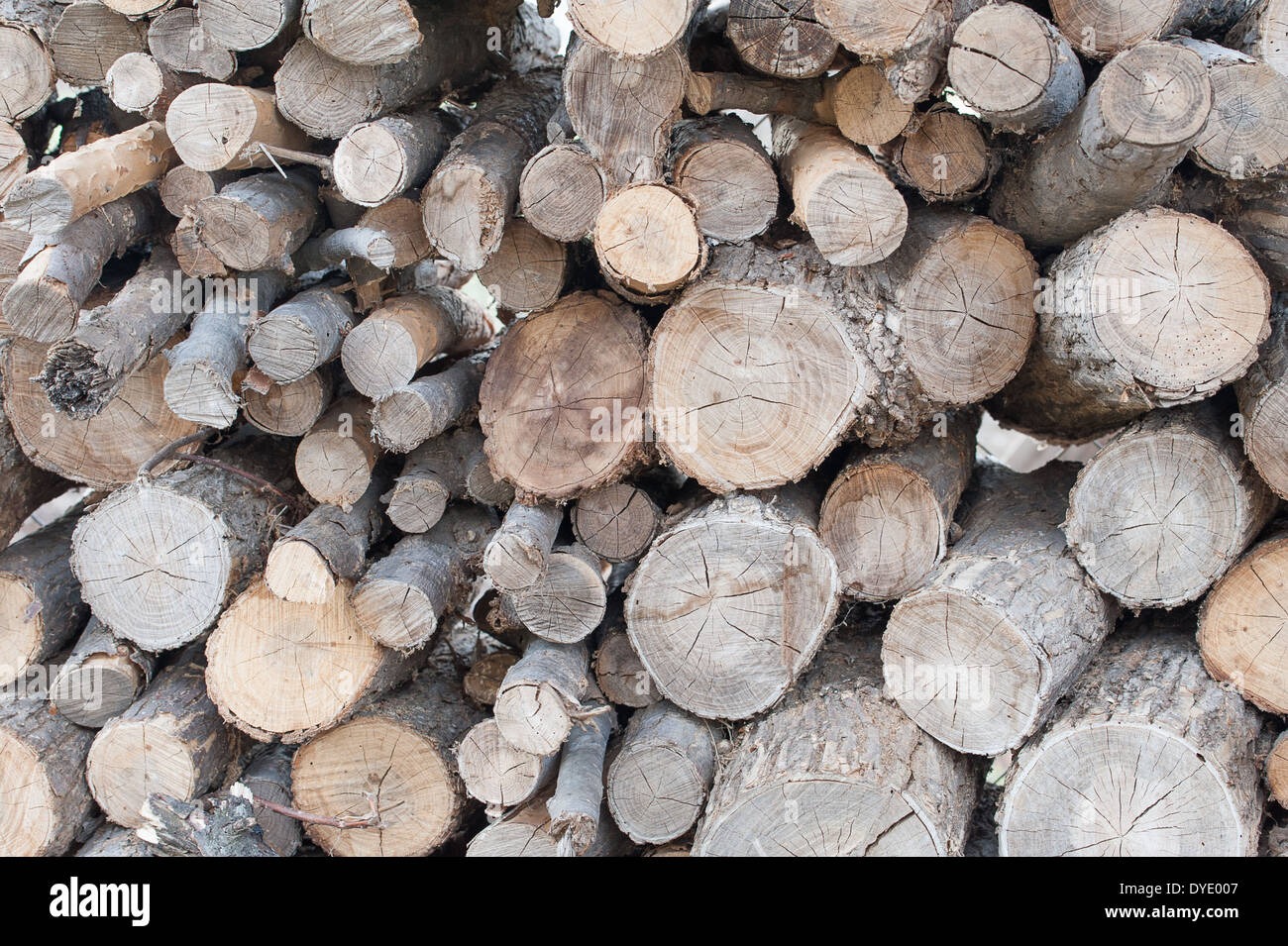 Logs of various sizes cut and stacked, ready to be split for firewood
