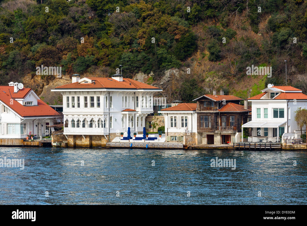 Yalis (exclusive waterfront mansions) along the Asian shore of the Bosphorus viewed from Bosphorus cruise boat, Istanbul, Turkey Stock Photo