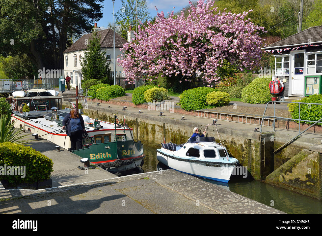 Boats in spring going through  Marsh Lock on the River Thames in the Thames Valley near Henley-on-Thames,Oxfordshire, England, UK Stock Photo