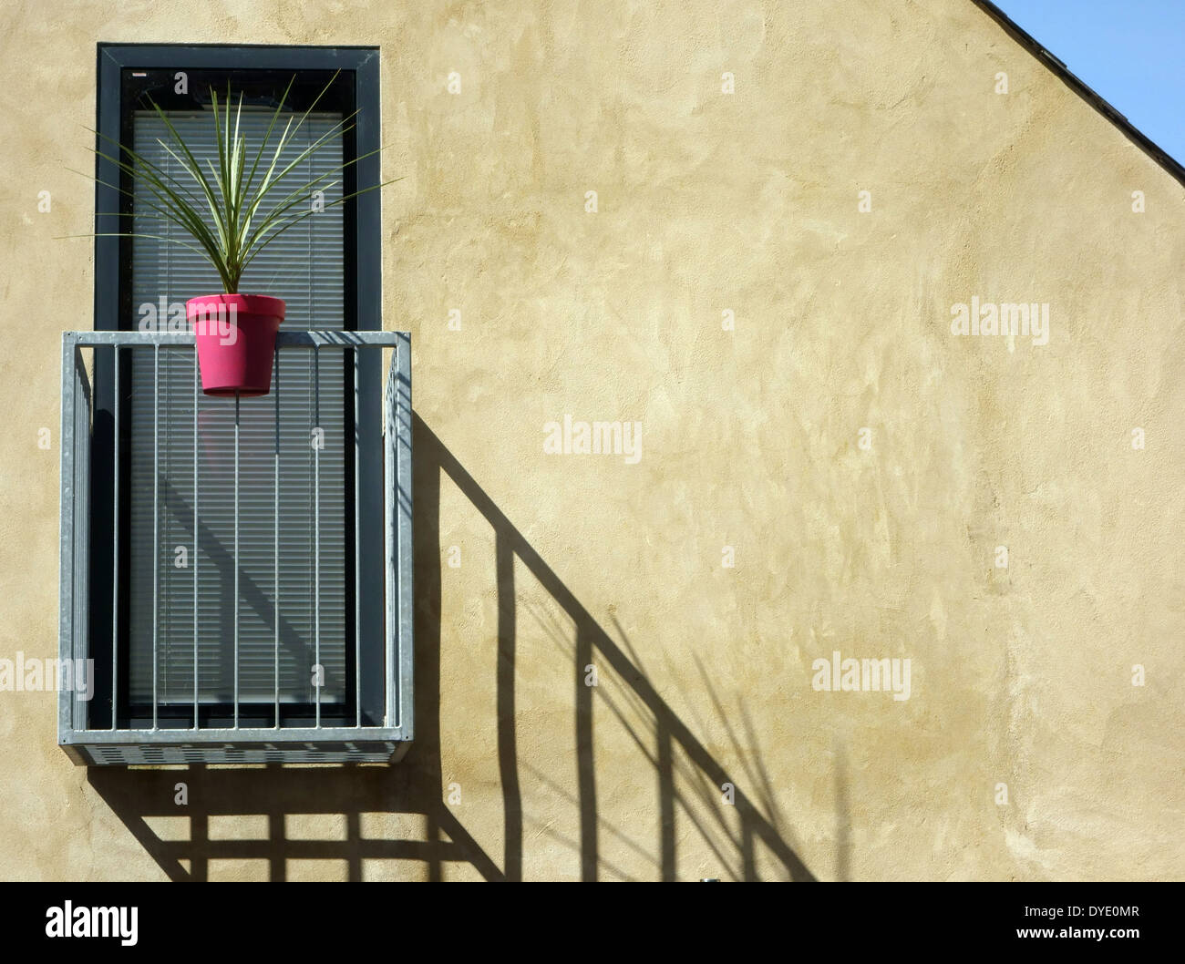 Plant pot on balcony of South London house Stock Photo Alamy