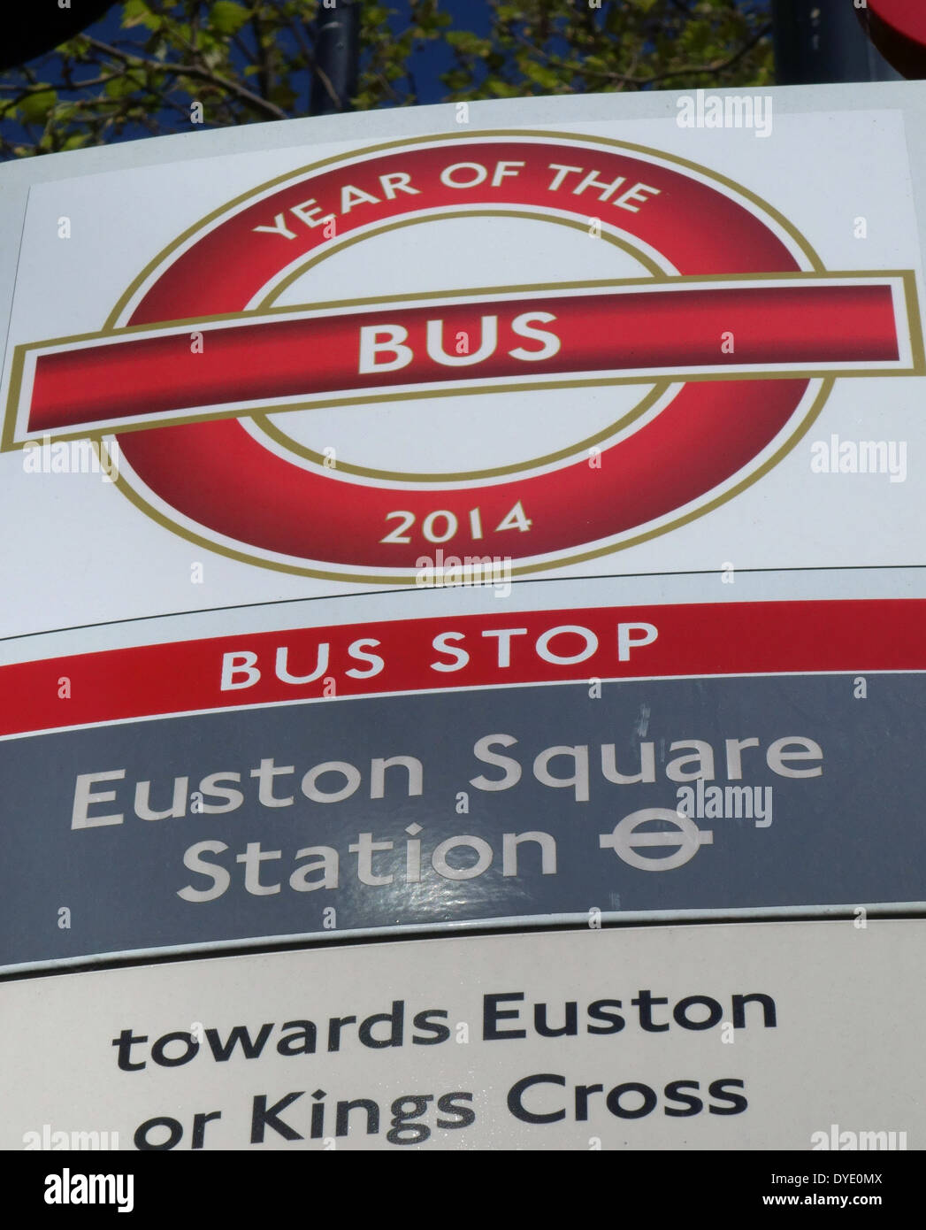 'Year of the Bus' sign on London bus stop Stock Photo