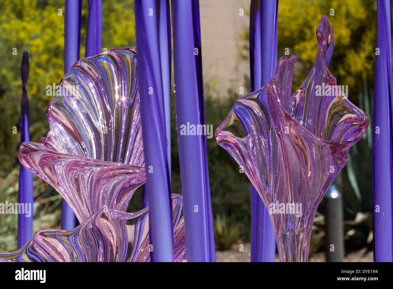 Glass sculpture, Desert Botanical Gardens, Phoenix, Arizona, USA Stock Photo