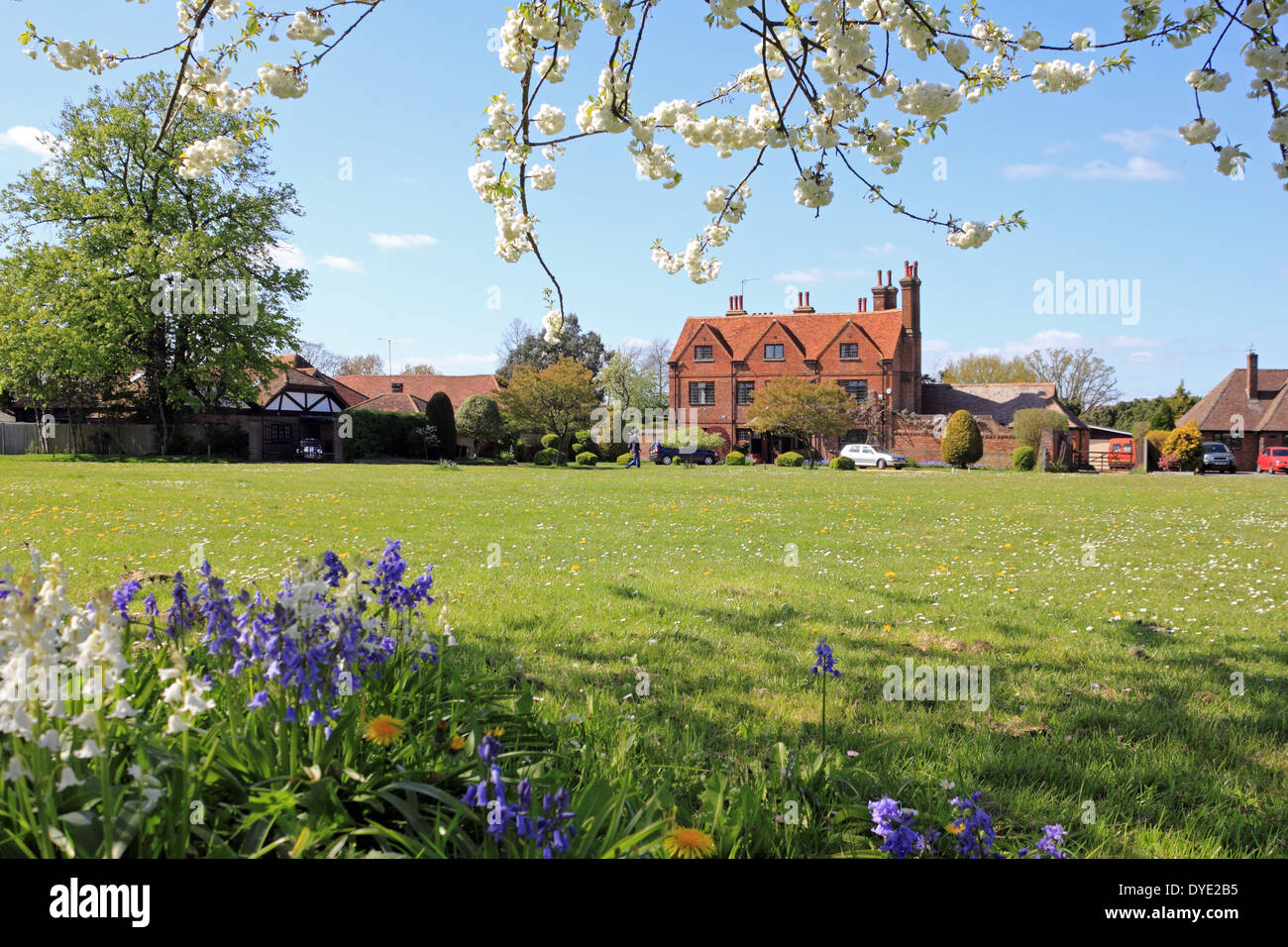 Ripley Surrey England UK Stock Photo Alamy