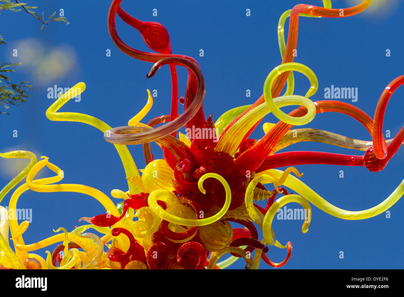 Glass sculpture, Desert Botanical Gardens, Phoenix, Arizona, USA Stock