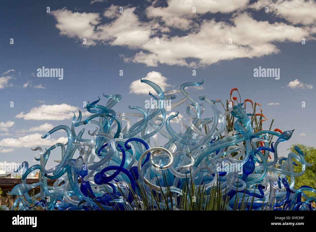 Glass sculpture, Desert Botanical Gardens, Phoenix, Arizona, USA Stock
