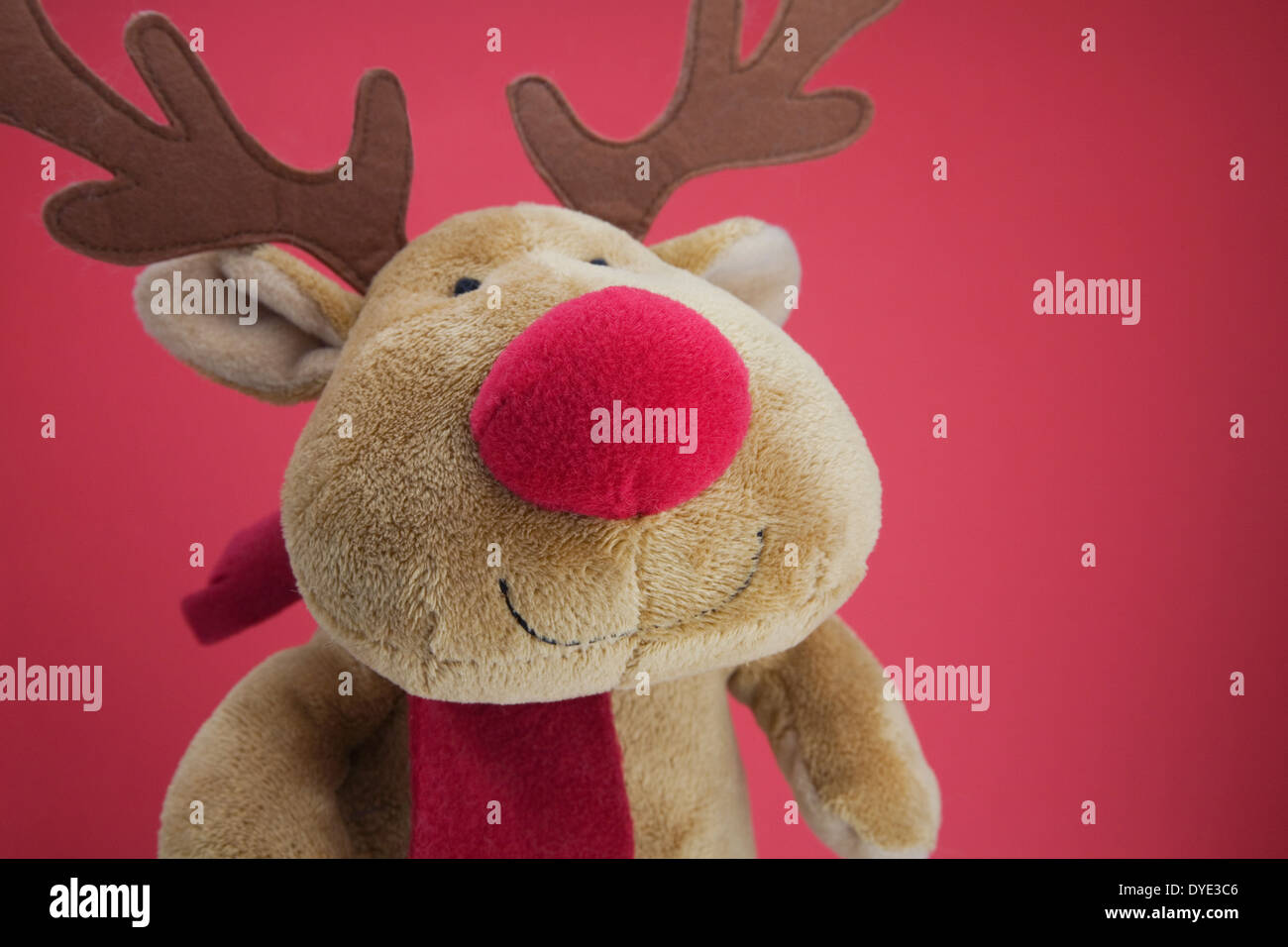 Rudolph the red-nosed reindeer soft toy teddy Stock Photo