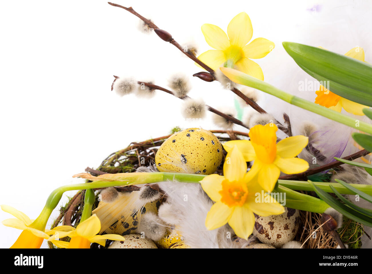 Easter eggs in the nest on a white background Stock Photo - Alamy