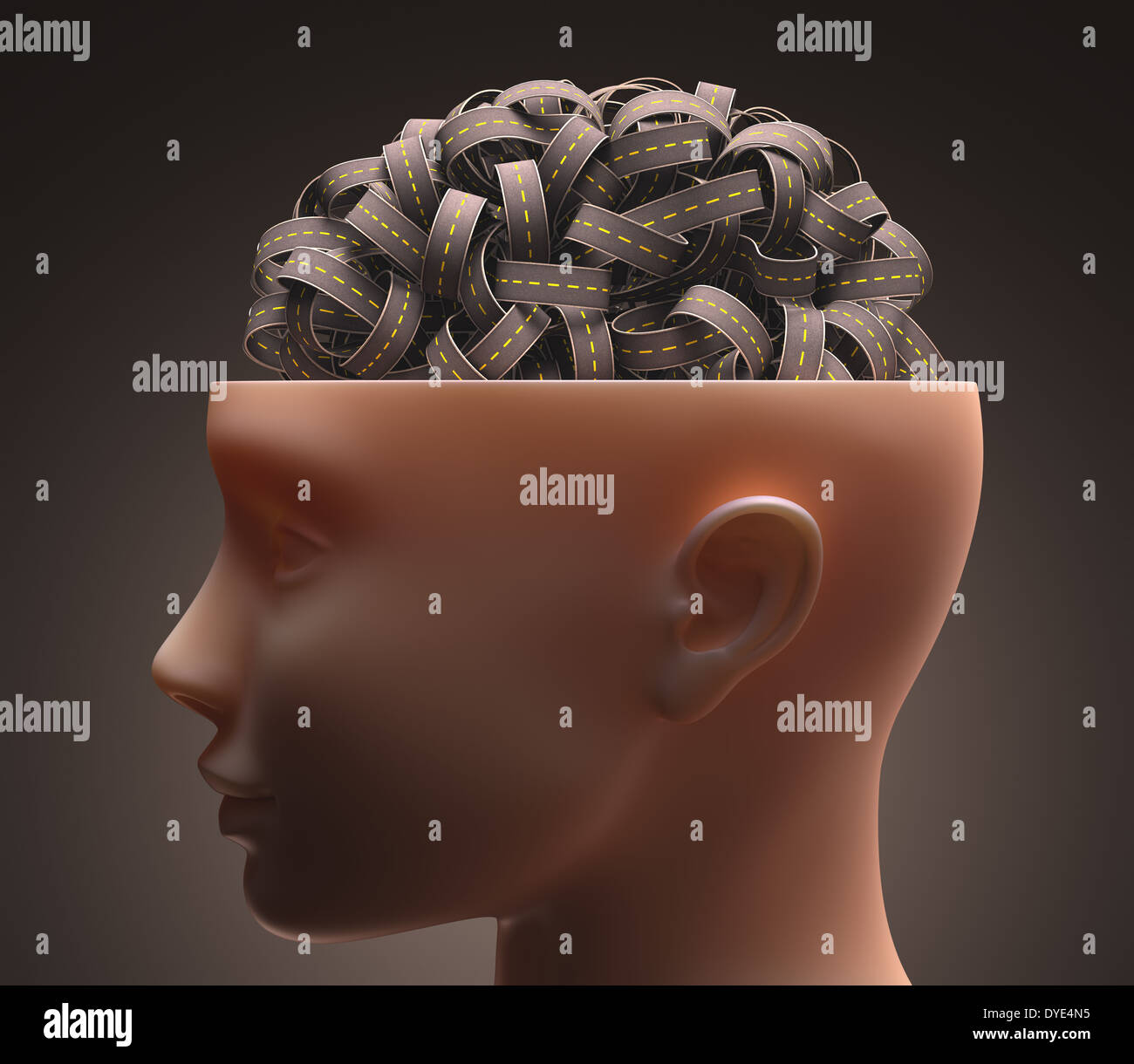 Several roads forming the human brain. Clipping path included. Stock Photo