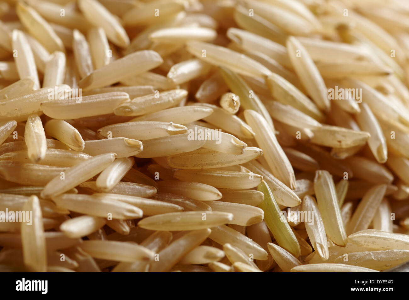 Raw Uncooked Brown Basmati Rice Stock Photo Alamy raw-uncooked-brown-basmati-rice-stock-photo-alamy