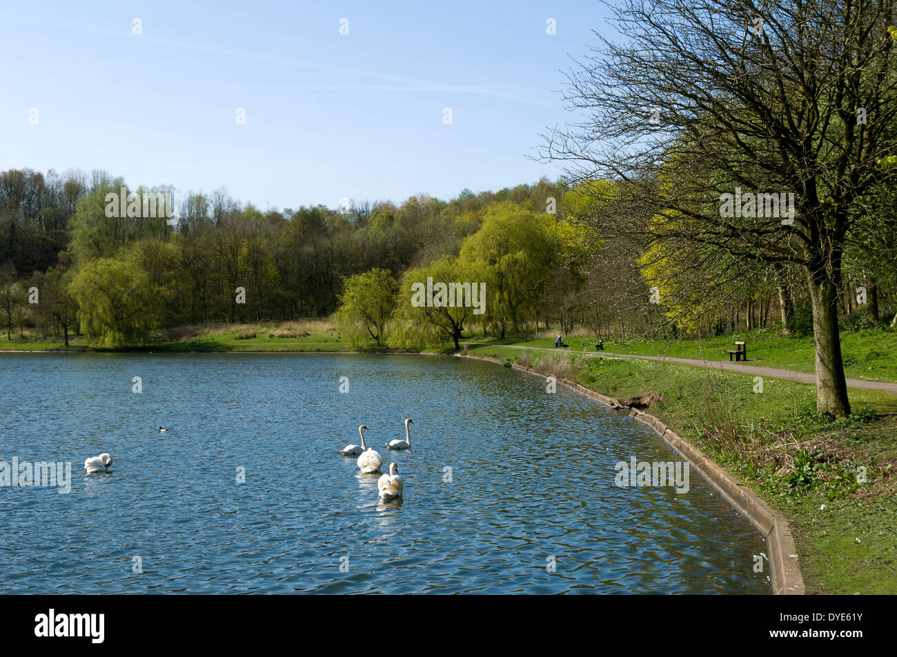 One of the lakes at Moses Gate Country Park, Bolton, Greater Manchester, England, UK. Former mill pond for Crompton Paper Mills. Stock Photo