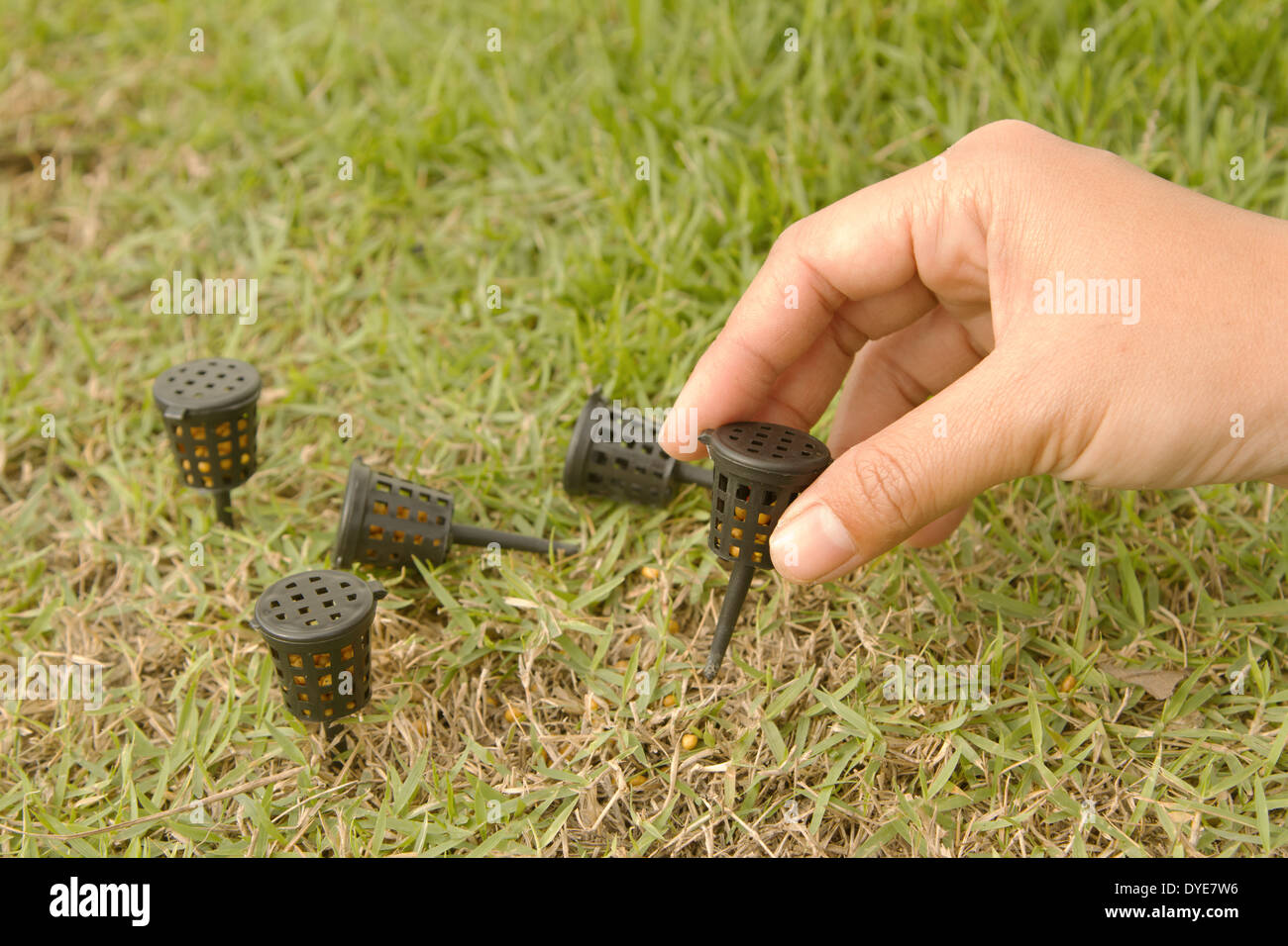 Close up photo of slowrelease fertilizer baskets Stock Photo Alamy