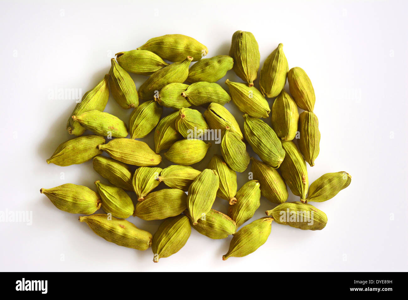 Cardamom plant india hires stock photography and images Alamy