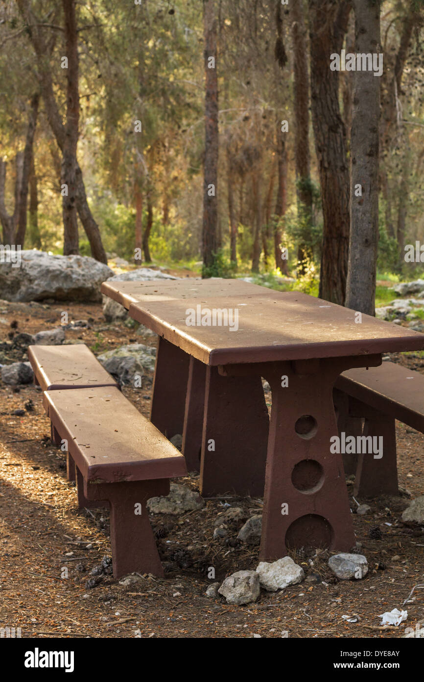 Photography picnic table in the woods on a spring evening. Israel Stock Photo Alamy