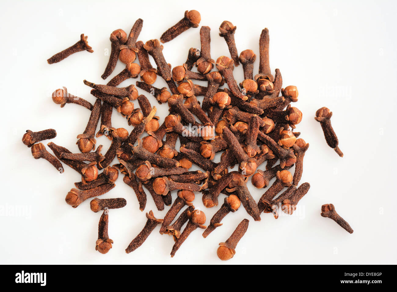 clove dried buds Stock Photo Alamy