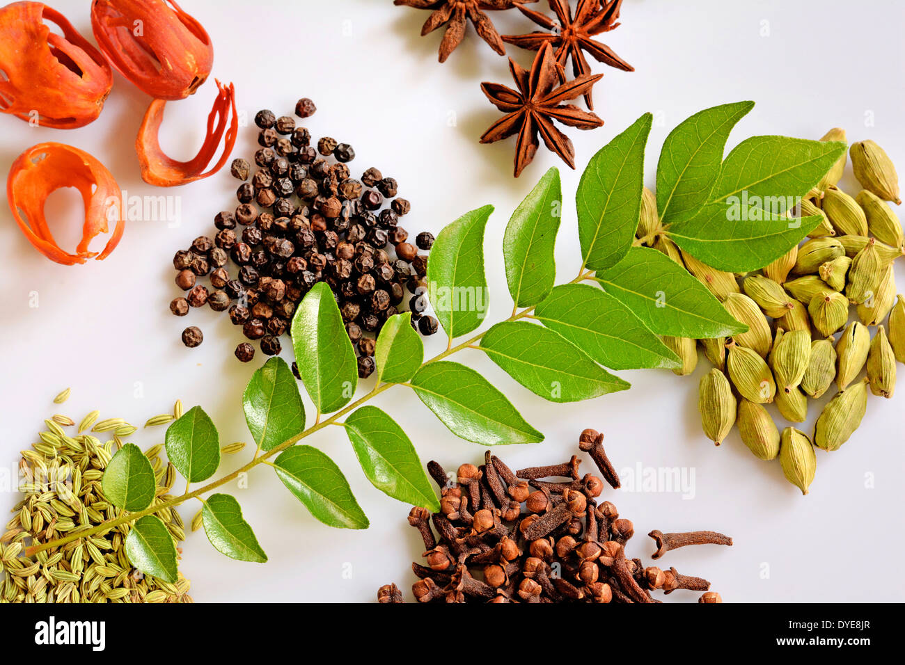 Assorted spices from Kerala Stock Photo Alamy