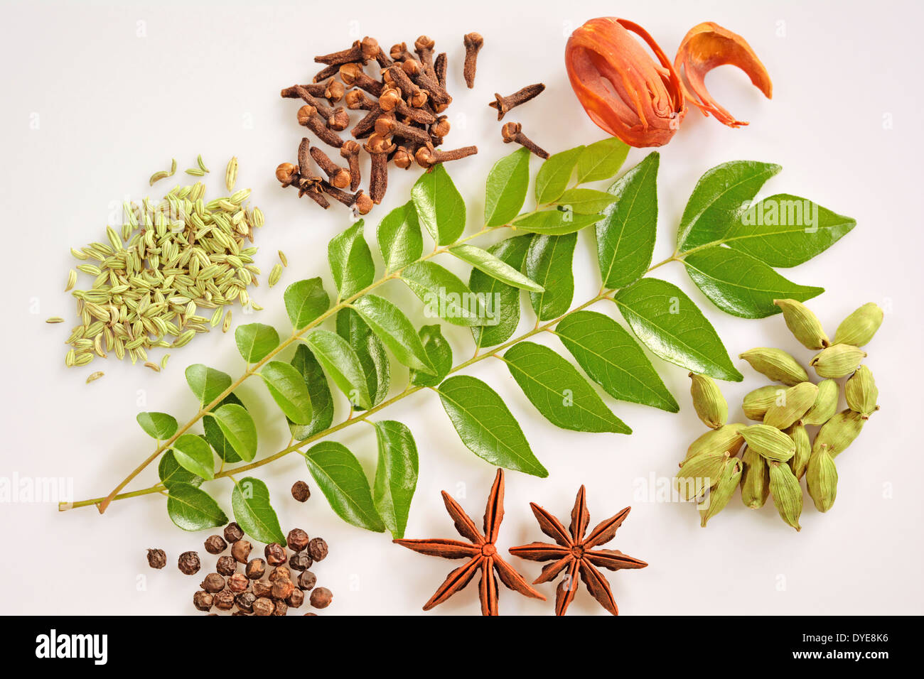 Spices of Kerala Stock Photo Alamy