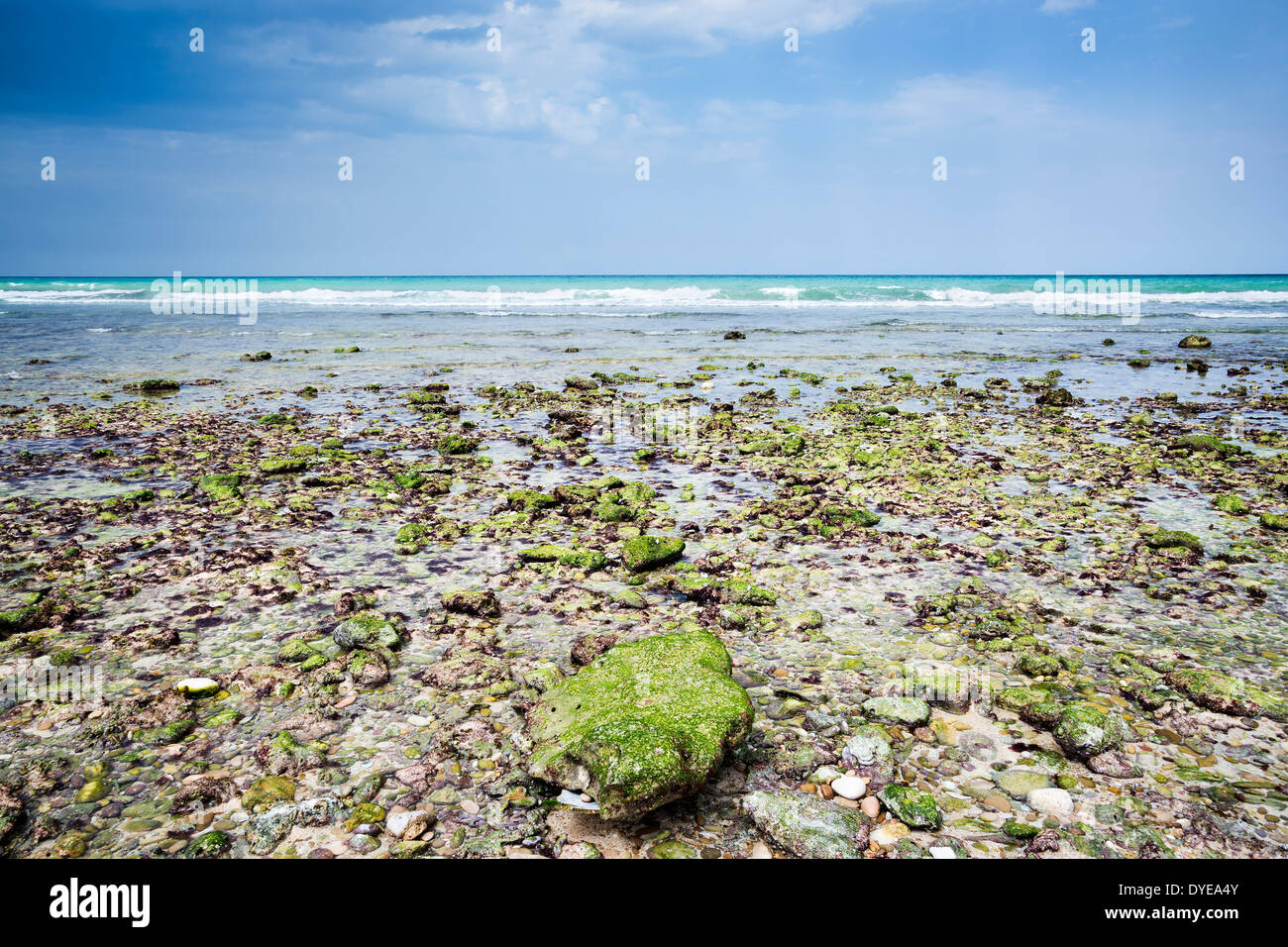 Images of Oman beach with sea Stock Photo