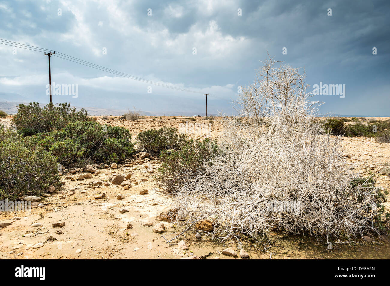 Landscape in Oman with sand, stones, bushes and grey clouds Stock Photo