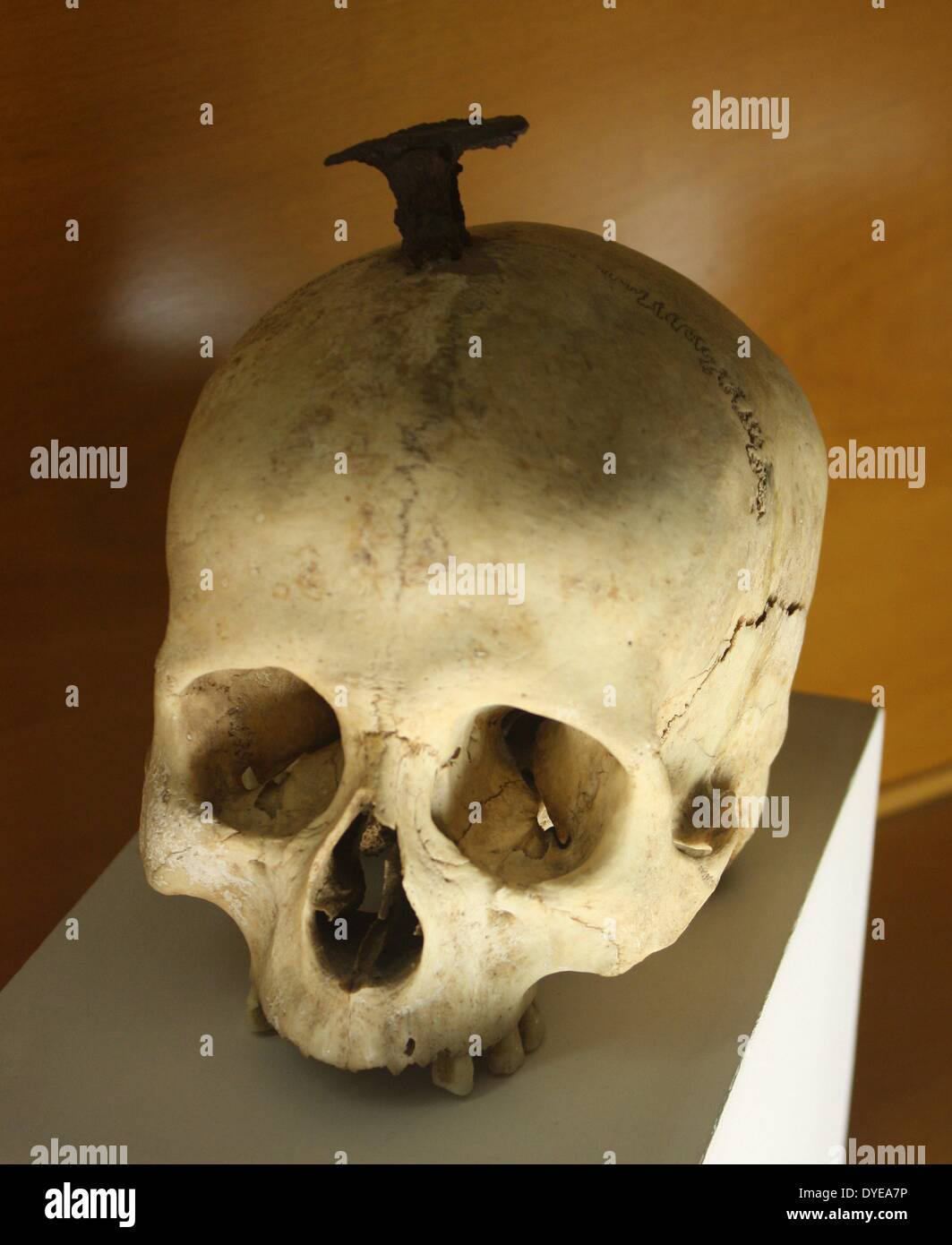 A human skull nailed post-mortem as part of a religious ritual. Barcelona. Spain 2013 Stock Photo