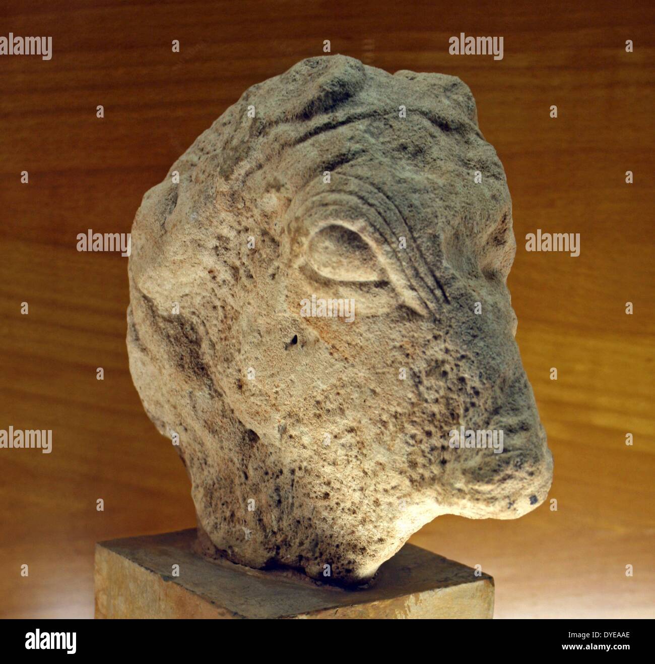 Limestone bust. Barcelona, Spain 2013 Stock Photo