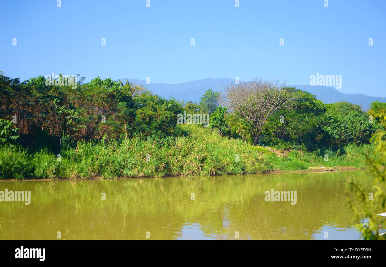 Tropical river hi-res stock photography and images - Alamy