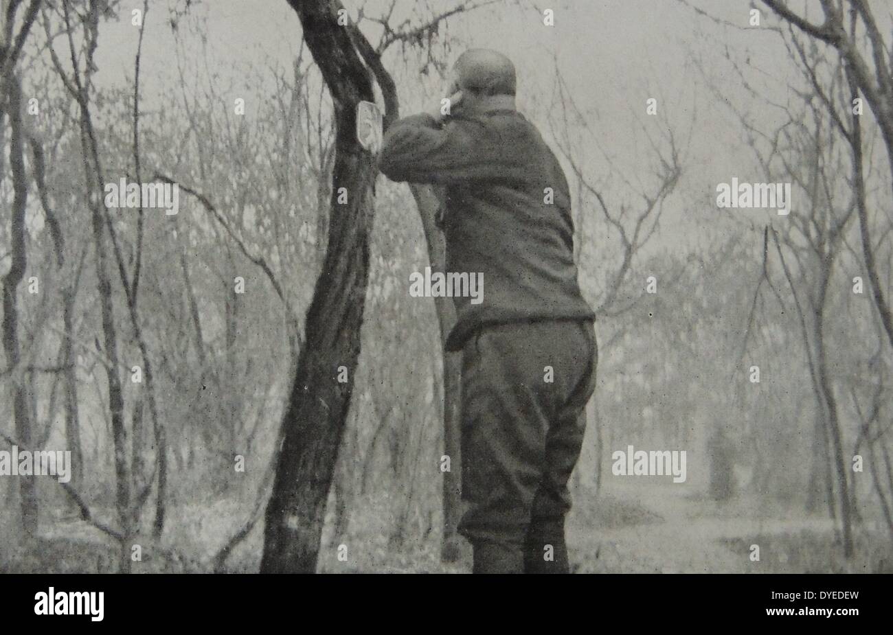 A French Colonel is seen here shaving his beard in front of a pocket mirror attached to a tree trunk. Dated 1915 Stock Photo