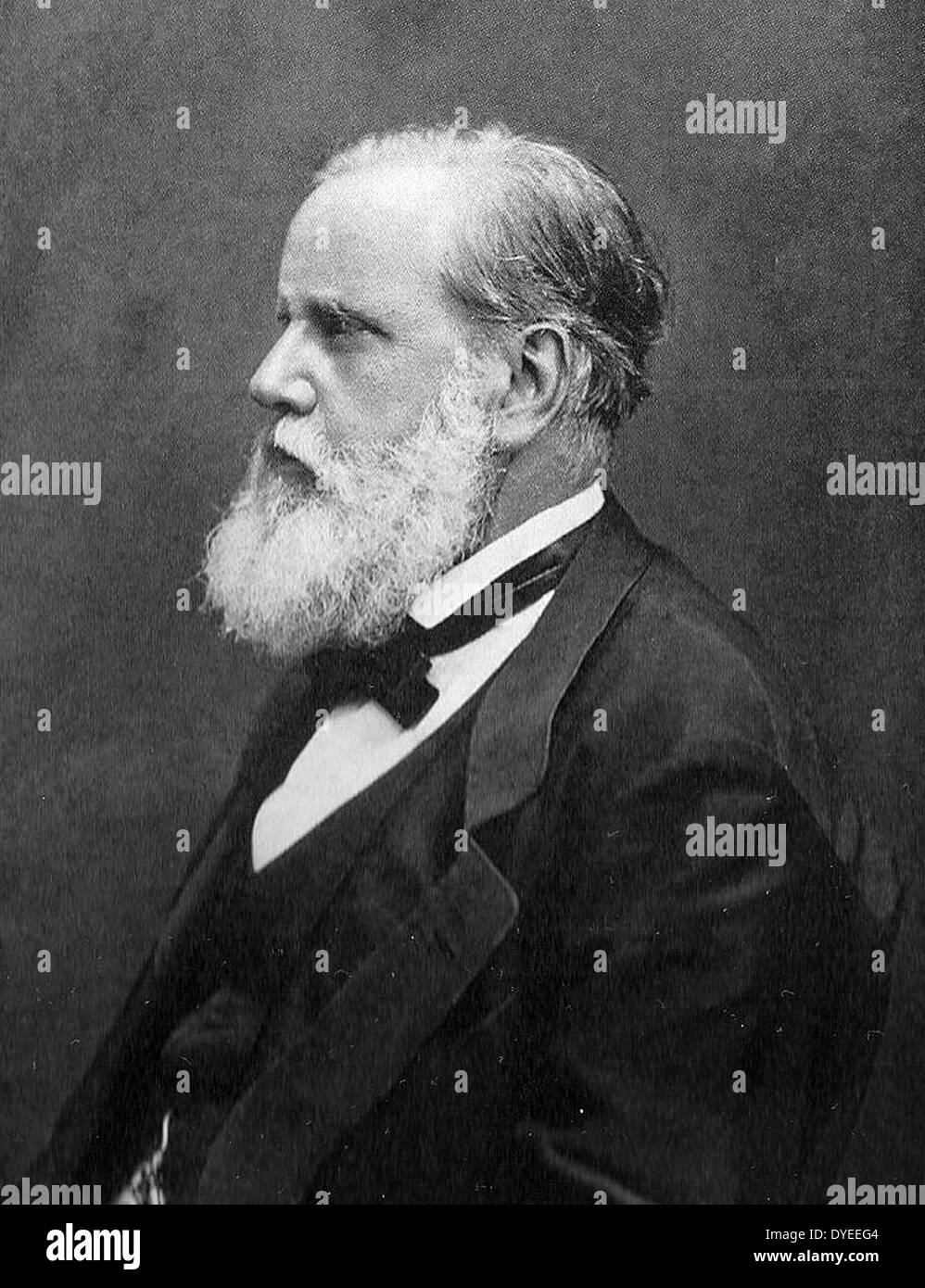 Emperor Pedro II of Brazil 1887 A.D. Stock Photo