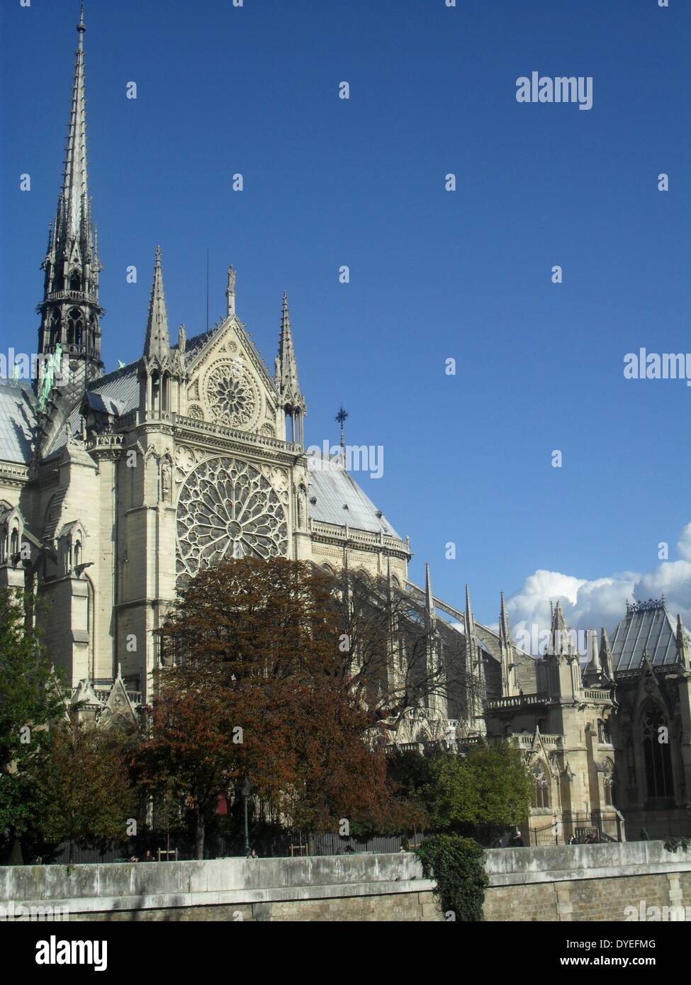View of Notre Dame Cathedral 2013. Completed in 1345 in French Gothic Style. Stock Photo