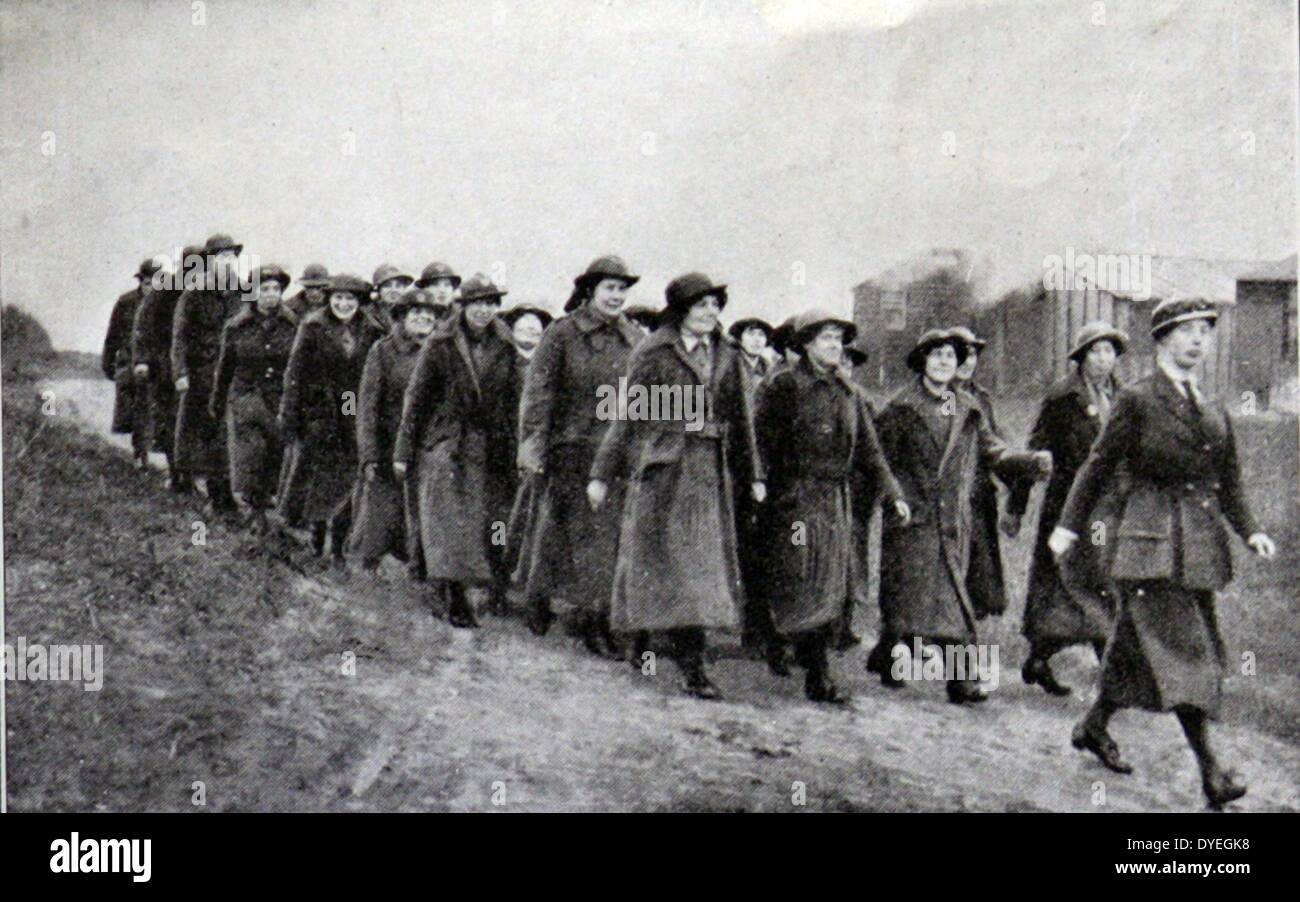 Wwi first world war queen mary army auxiliary corps france hires stock